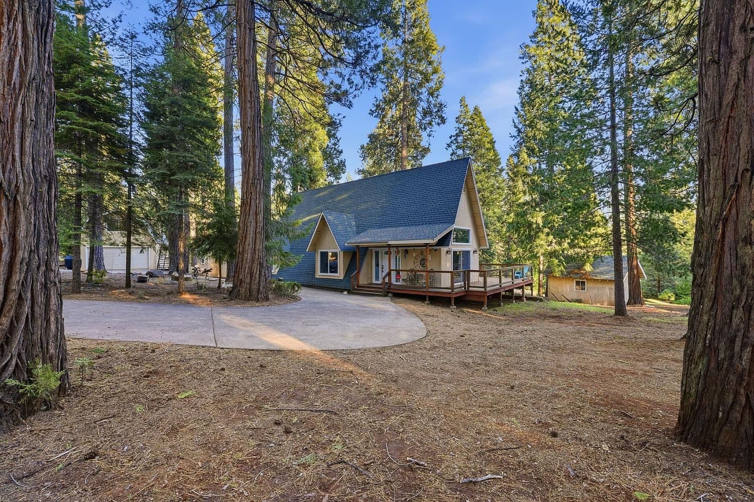 The main house among the pines